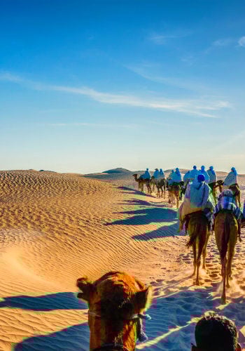 Voyage Tunisie