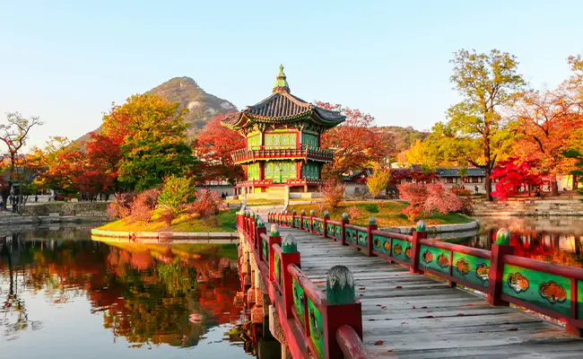 <h3>Partez en Corée du Sud</h3>