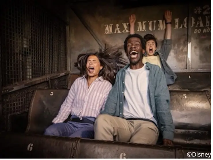DisneyLand Attraction