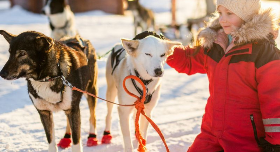 Finlande - Hôtel Aakenus