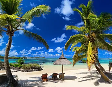 Elsa reine des neige