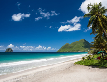 plage sable blanc aux antilles