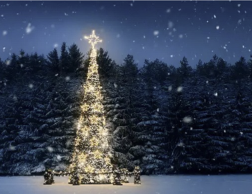 arbre de noel paysage neige nuit