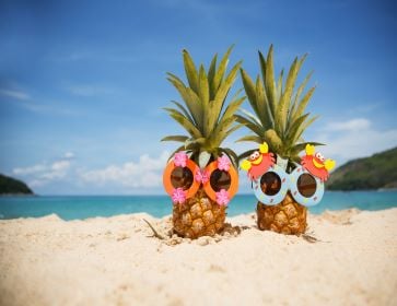 plage de sale blanc océan indien