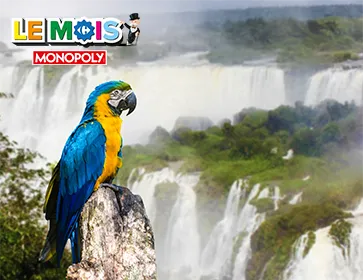 perroquet chute iguacu