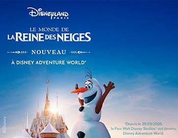 Elsa reine des neige