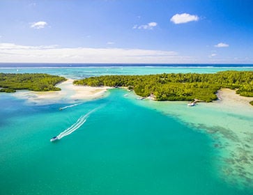 plage paradisiaque aux antilles