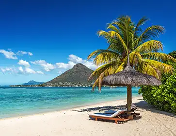 Elsa reine des neige