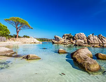 plage palombaggia