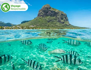 Elsa reine des neige