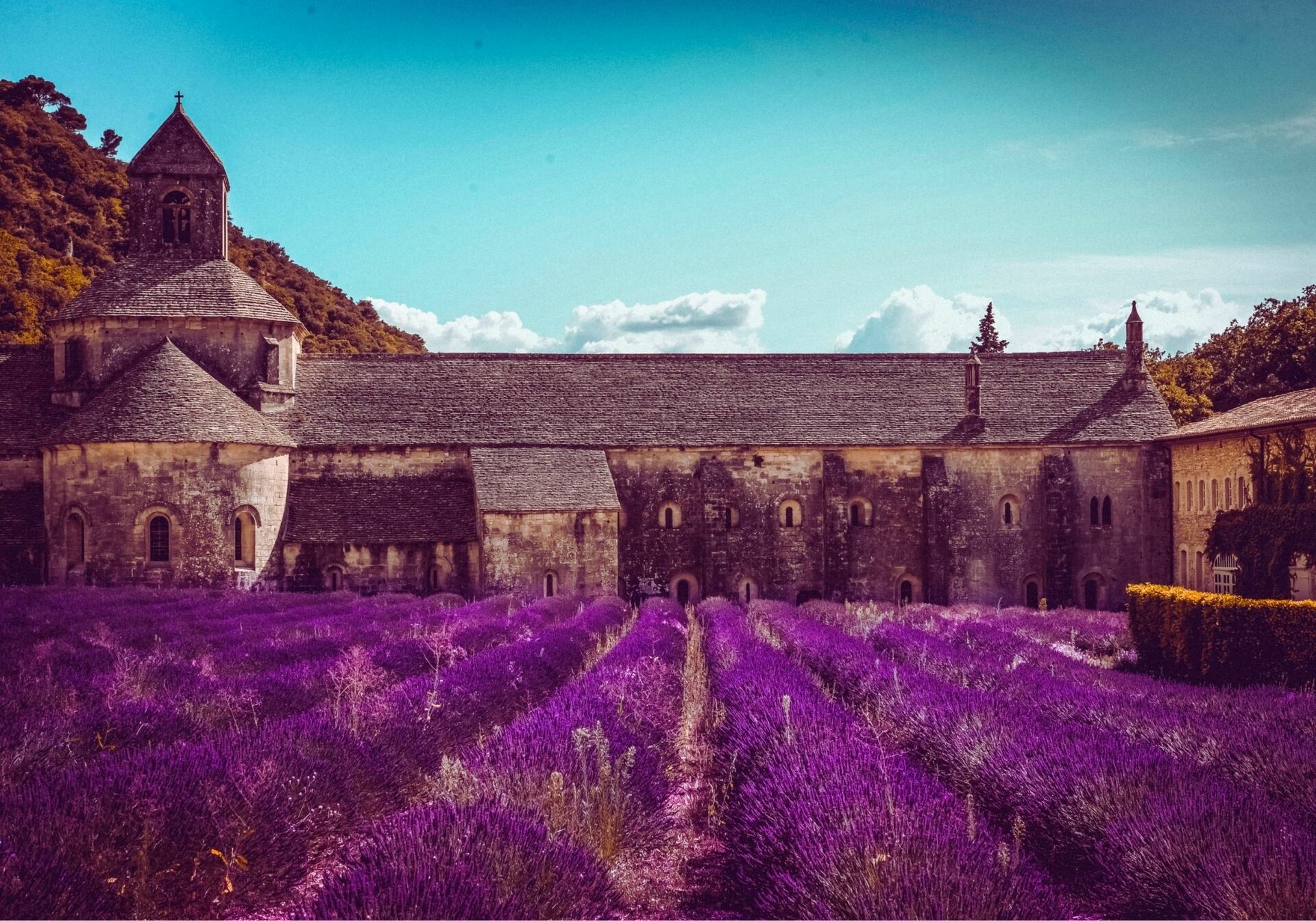 Sud Est - Luxe in een droomomgeving in Gordes - 5*