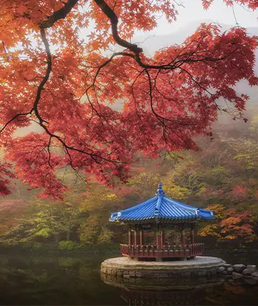 Naejangsan National Park