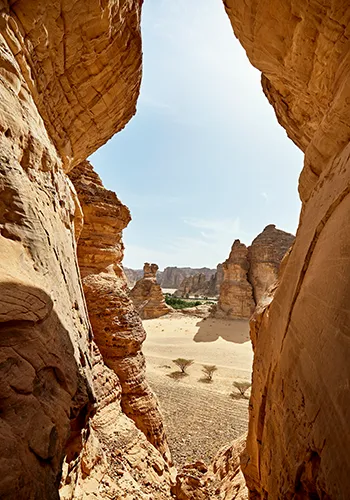 Séjour en Arabie Saoudite