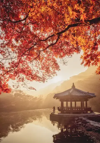 Partir en voyage en Corée du Sud