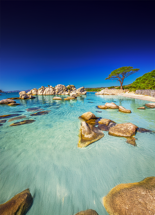 Offre Fidélité 150€