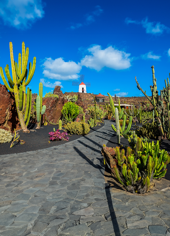 Séjours Îles canaries