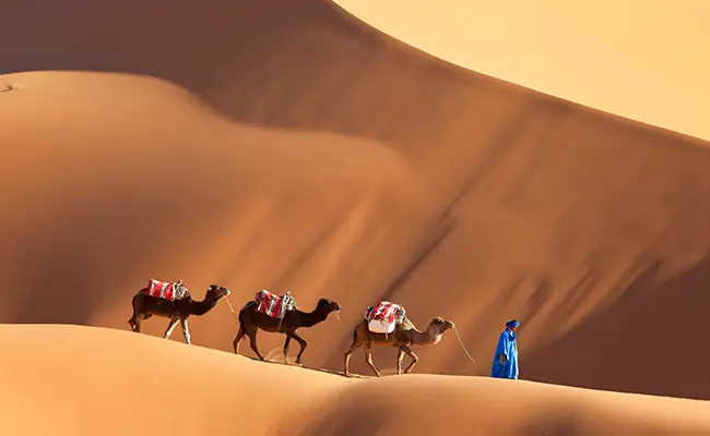 Maroc