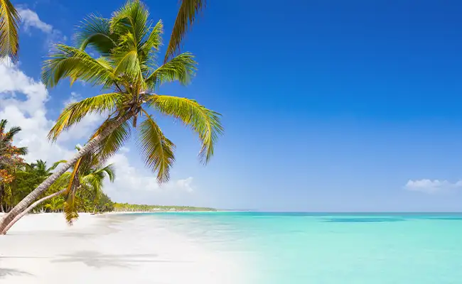 Elsa reine des neige