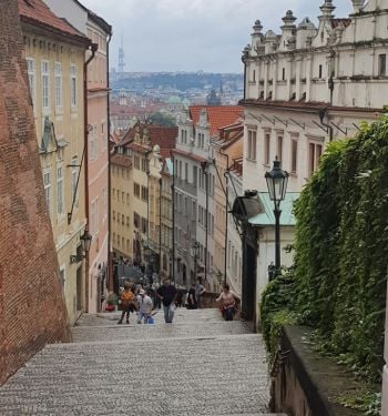 Activité et excursions