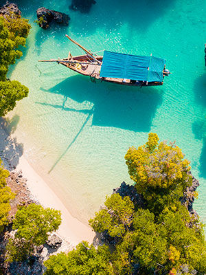 Bateau sur la plage à Zanzibar