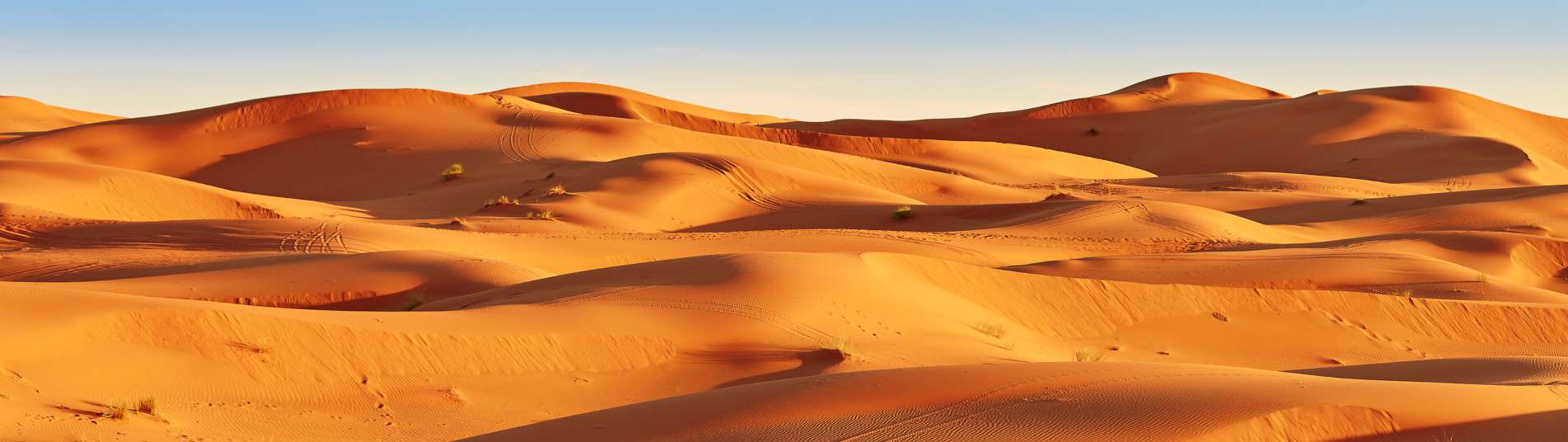 Désert d'Afrique