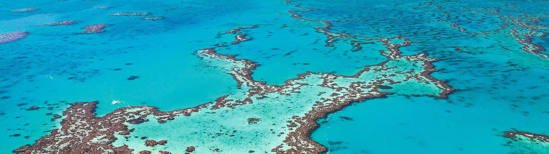 Barrière de corail en Australie
