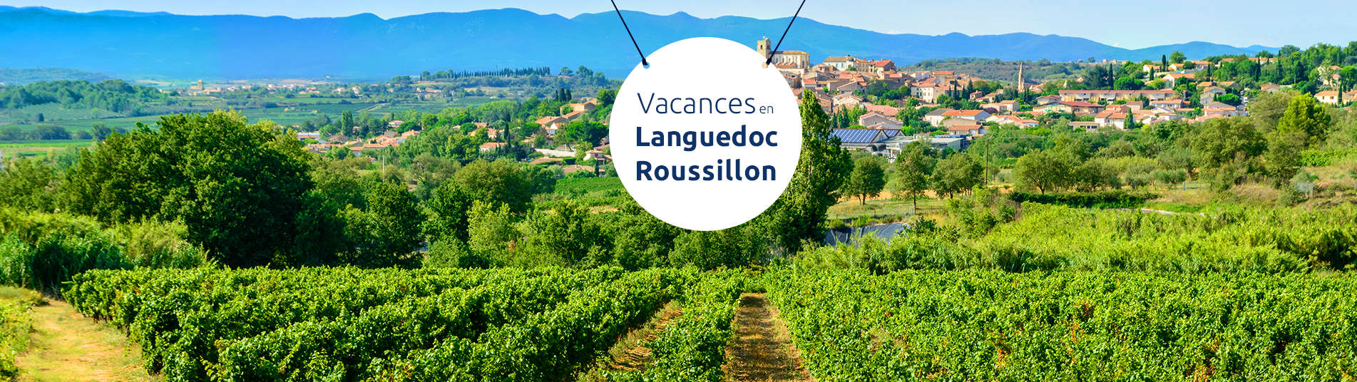 Champs et forêts dans le Languedoc-Roussillon