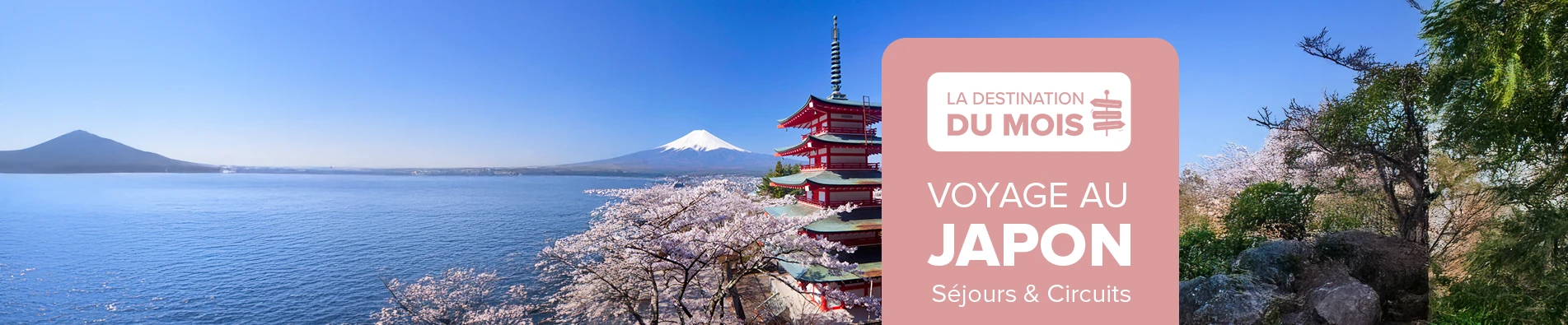 Destination du Mois Japon