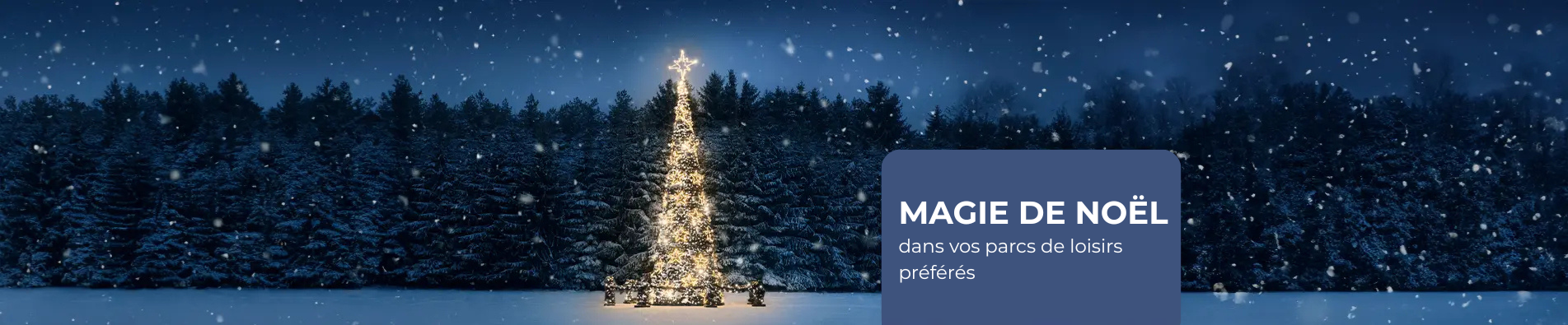 Parcs de loisirs saison Noël