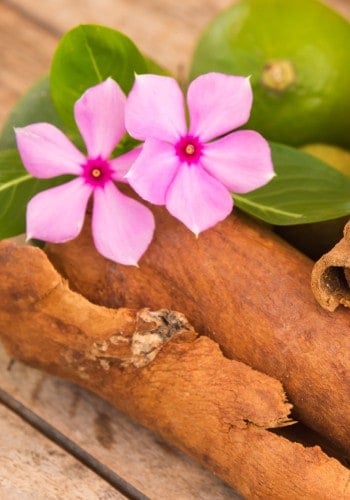 Que faire en Martinique, quand partir en Martinique
