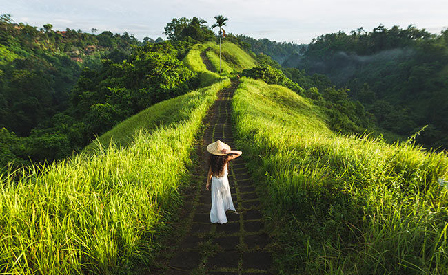 Circuits Bali