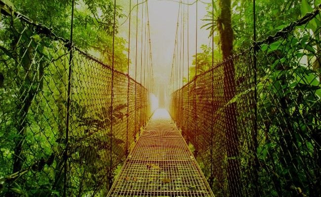 <h3>Le Costa Rica</h3>