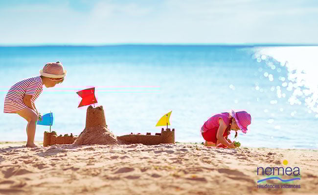 <h3><strong>Résidences Néméa</strong></h3>