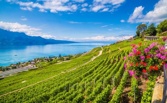Suisse