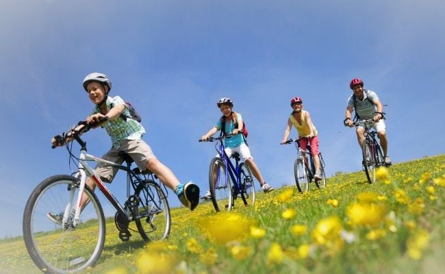 <h3><strong>Circuit à vélo</strong></h3>