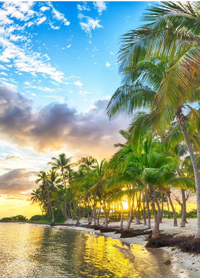 Séjour en Guadeloupe